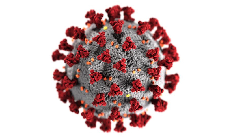 coronavirus